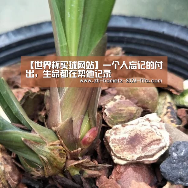 世界杯买球网站