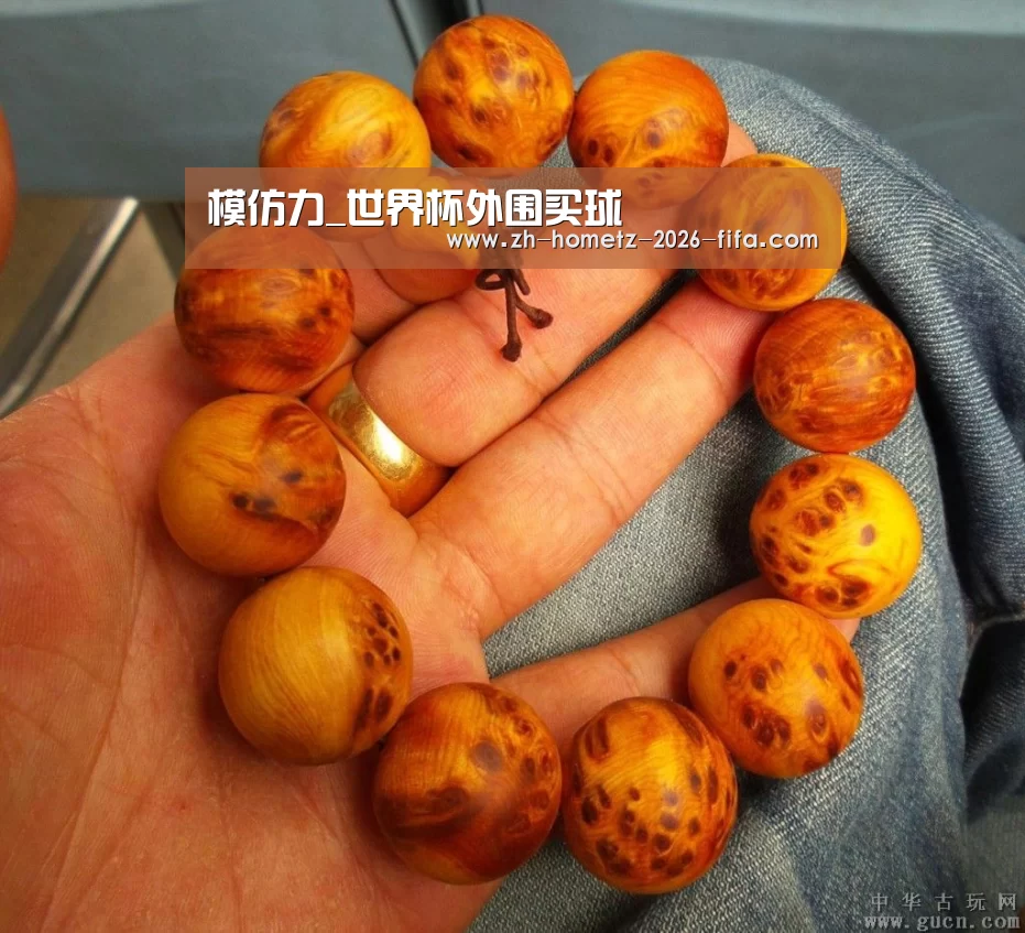 模仿力_世界杯外围买球(图1) 世界杯外围买球